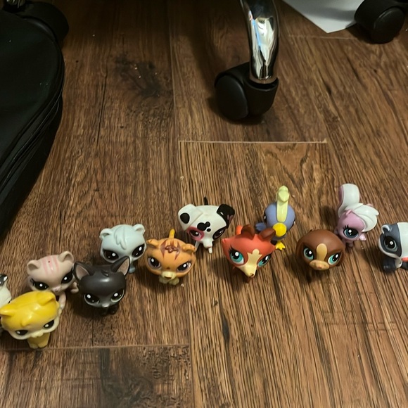 12 piece Littlest pet shop lot - Picture 1 of 2